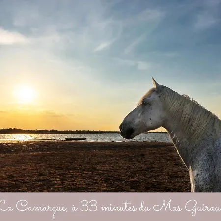 Guiraud Beaucaire (Gard)