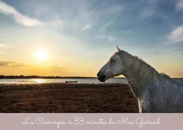 Guiraud Beaucaire (Gard)